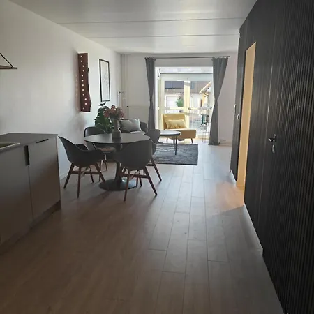 Modern With Pool & Fitness Appartement Hejls